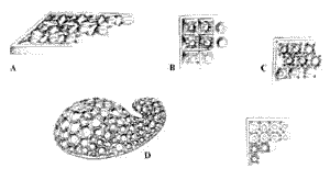 Disegni dell'incassatura a pavé: pietre vicine fermate da granette